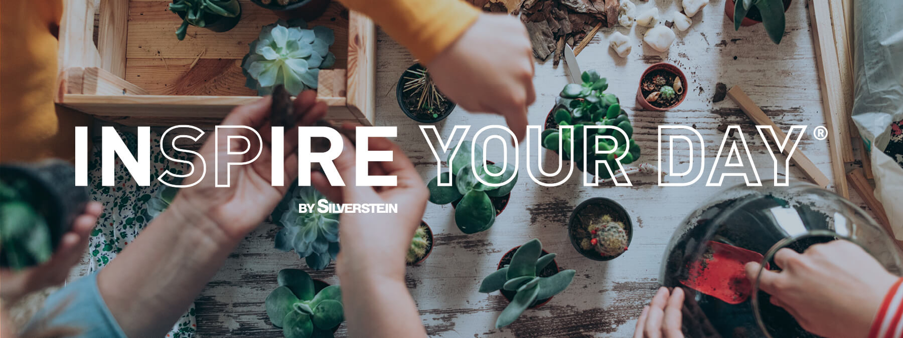 1-INSPIRE-Your-Day INSPIRE your day - people planting small potted plants