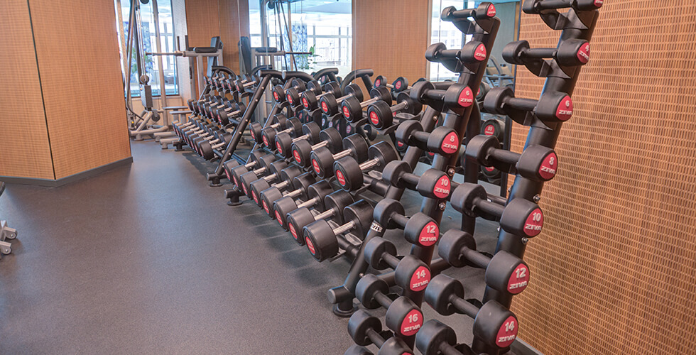 nyc-luxury-apartment-gym-2.jpg